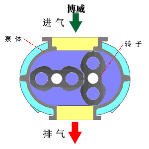 五金知識(shí)：簡述水環(huán)真空泵的現(xiàn)代發(fā)展趨勢